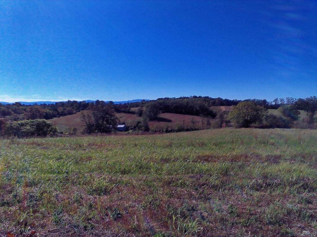 Lot 5 Milburnton Road - Photo 1