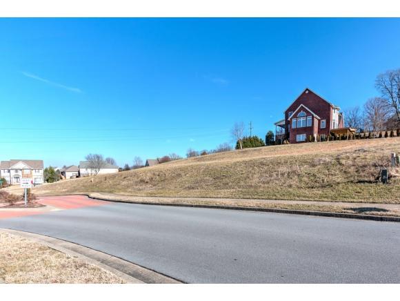 29 Azalea Ridge - Photo 1