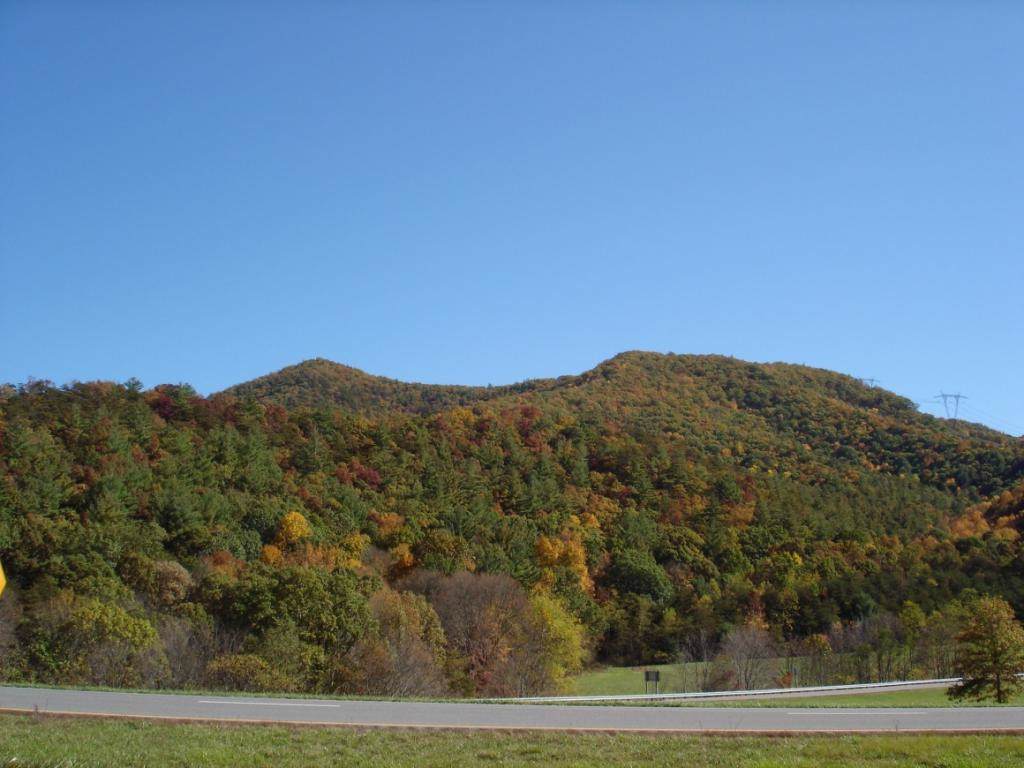 TBD Hogback Road - Photo 1