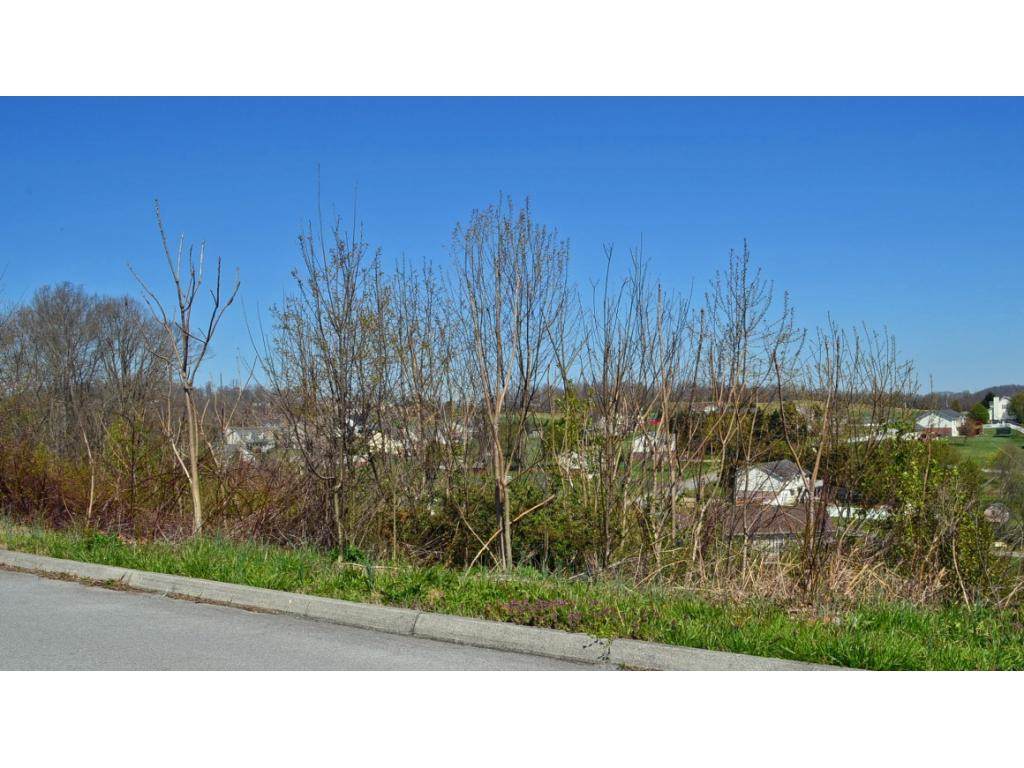 214 Alfalfa Lane - Photo 1