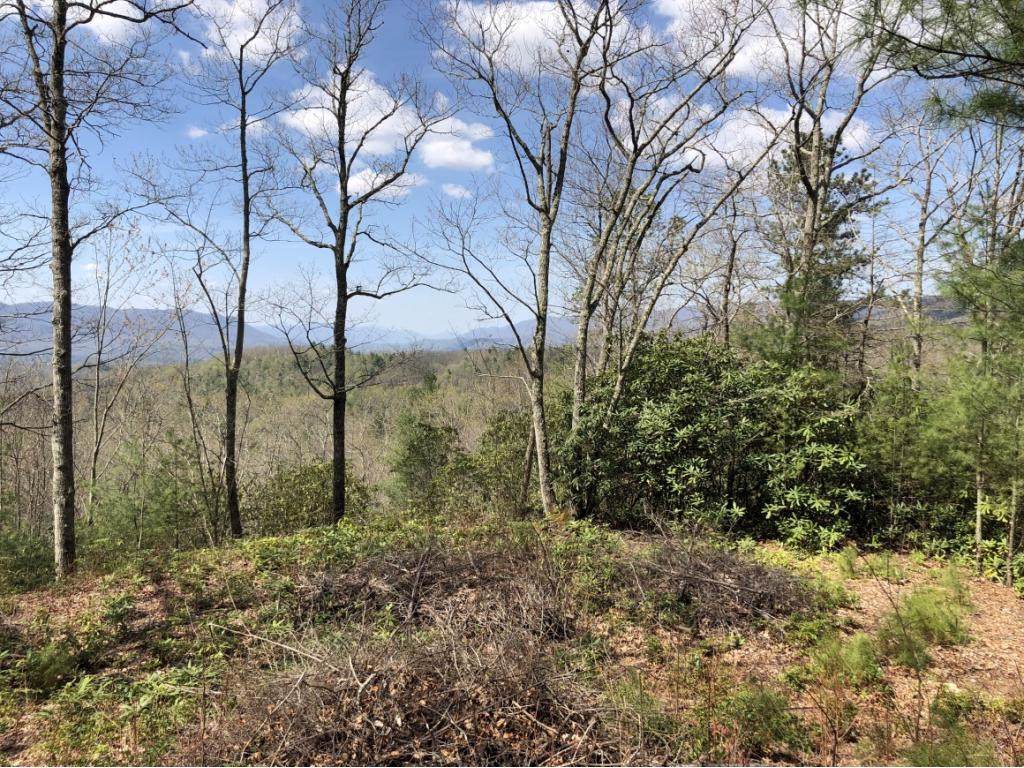 Lot 6 Sprucy Ridge Private Drive - Photo 1