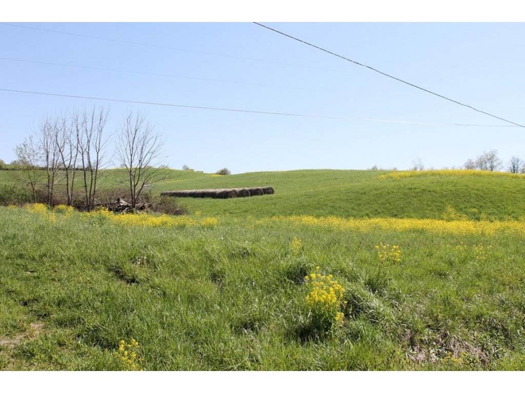 TRACT 2 Repass Road - Photo 1