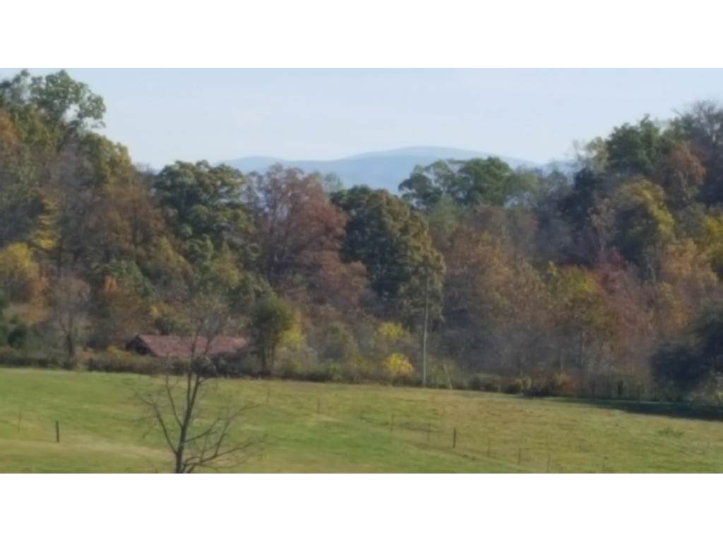 1975 Happy Valley Road - Photo 1