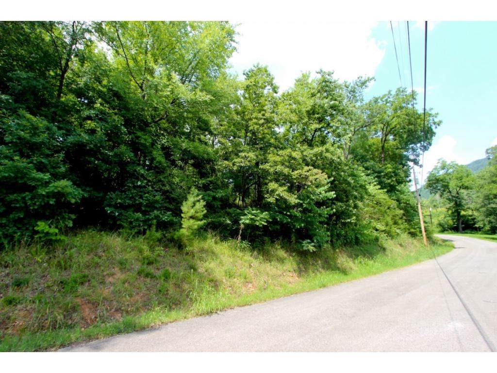 LOT 1 Tomahawk Drive - Photo 1
