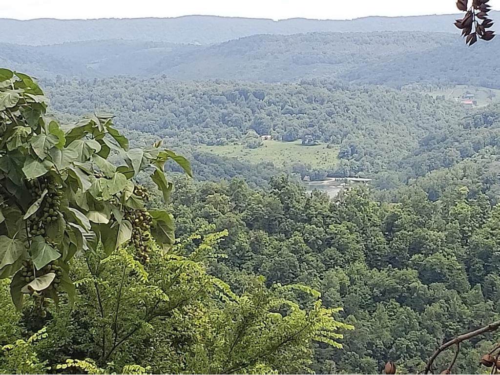 Lot 652 Chimney Rock Road - Photo 1