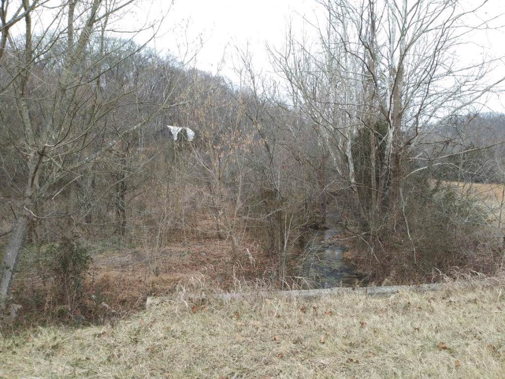 0 Kingsport Highway - Photo 1