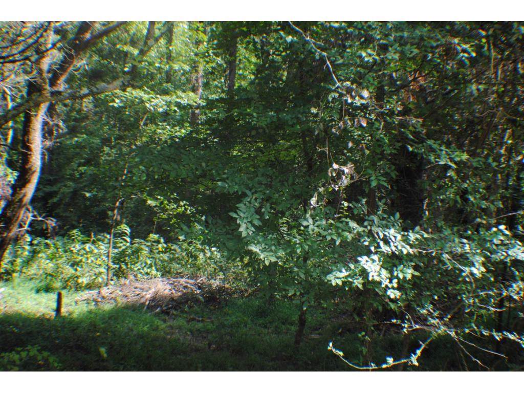 2015 Tahlequah Lane - Photo 1