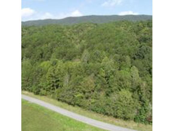 Tract 2 Spruce Pine Road - Photo 1