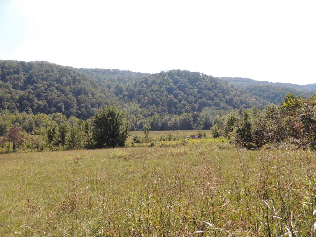 Tract 3 Spruce Pine Road - Photo 1