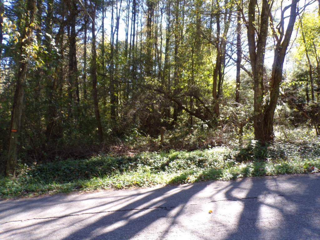 TBD Cold Springs Road - Photo 1