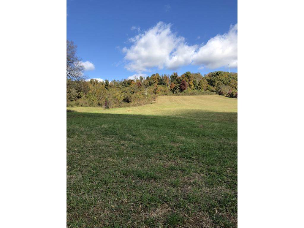 Lot 3 Memorial Boulevard - Photo 1