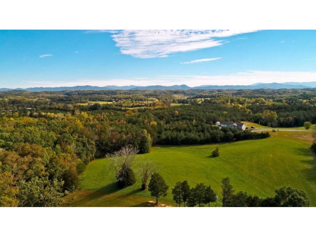 8.48 ACR Joe Reed Road - Photo 1