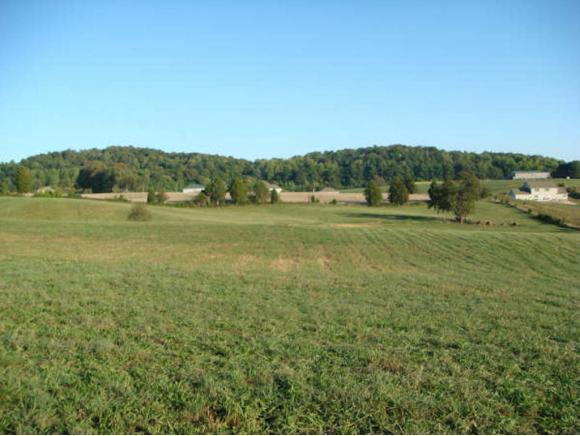 00 Gray Station-Sulphur Springs - Photo 1