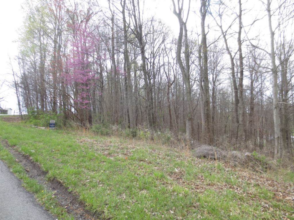 389 Mitchell Ridge Road - Photo 1