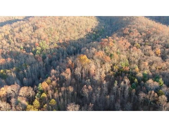 236 Sheets Hollow Rd. - Photo 1