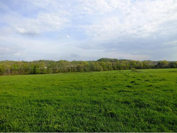 1072 Bulls Gap St Clair - Photo 1