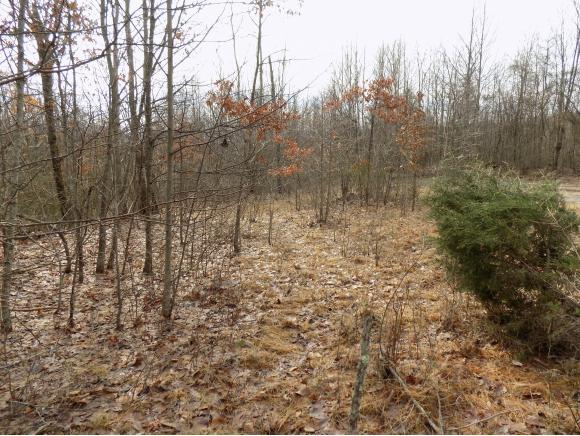 TBD Sentry Rd - Photo 1