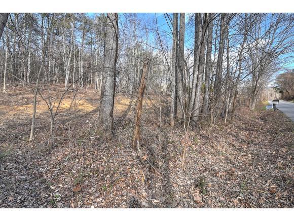 TBD Cherry Grove Road - Photo 1