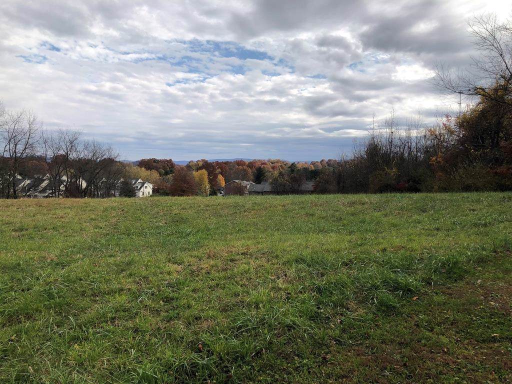 TBD Panacella Drive - Photo 1