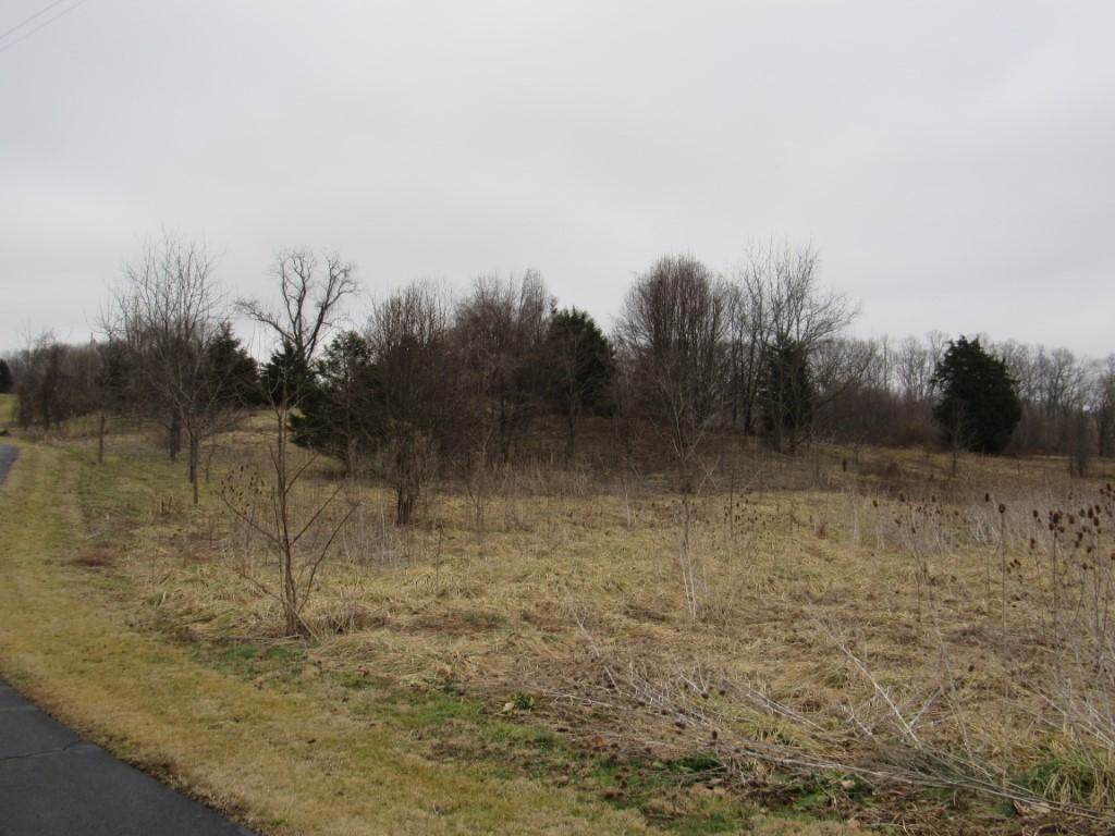 TBD Berry Creek Drive - Photo 1