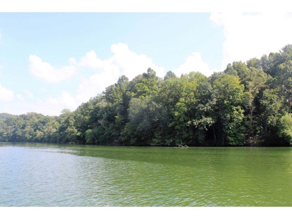 Lot 42 Lake Pointe Drive - Photo 1 Lot 42 Lake Pointe Drive - Photo 1