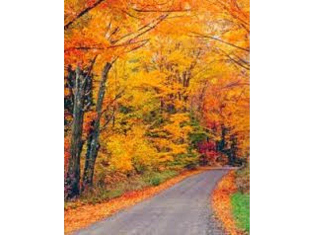 35 Deer Run - Photo 1