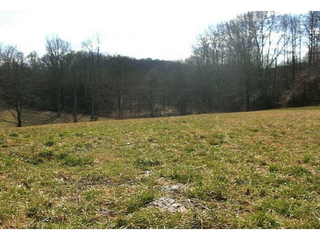 TBD Robin Road - Photo 1