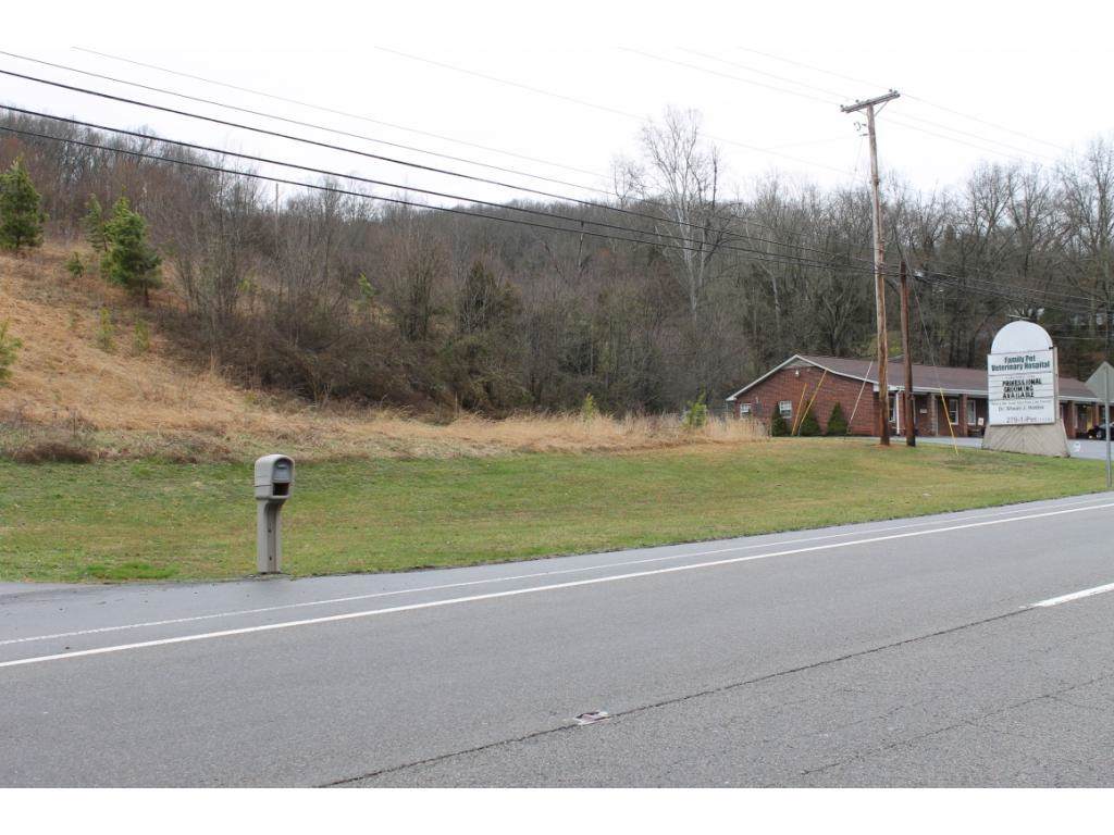 4401 Highway 11W - Photo 1