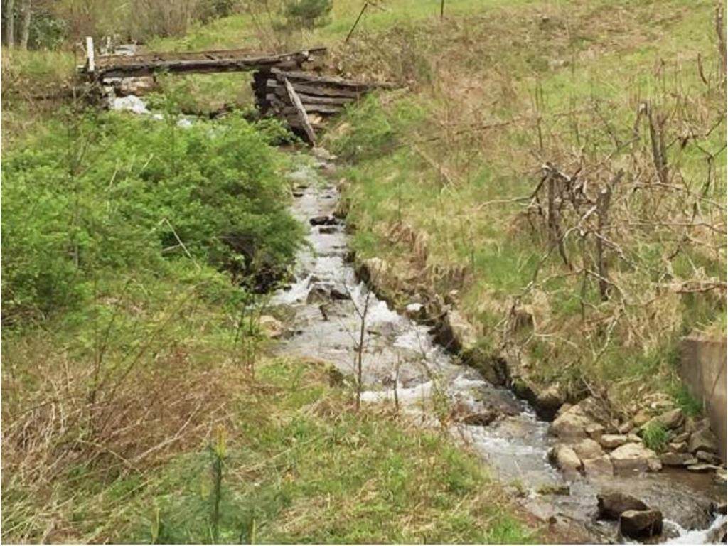 TBD Forge Creek Road - Photo 1