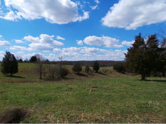00 Baileyton Road - Photo 1