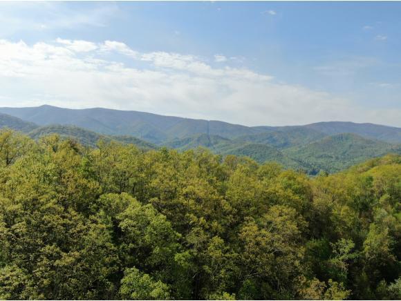 0 Dameron Ridge Rd - Photo 1