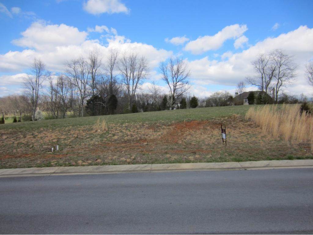 532 Manchester Place - Photo 1