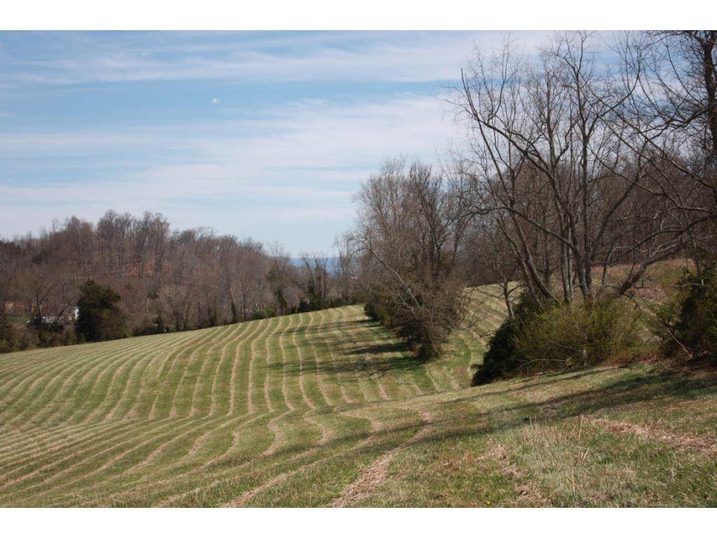 1330 Martin Road - Photo 1