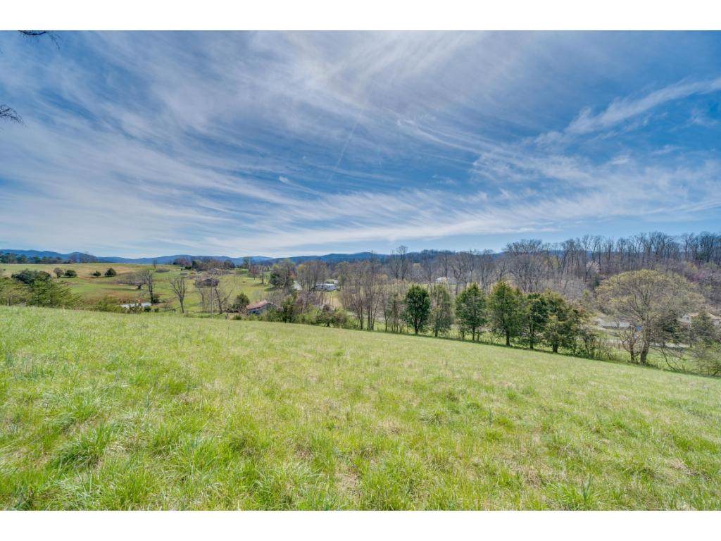 354 Mt Wesley Road - Photo 1