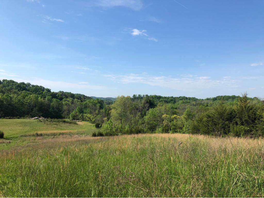 300 Hilldale Road - Photo 1
