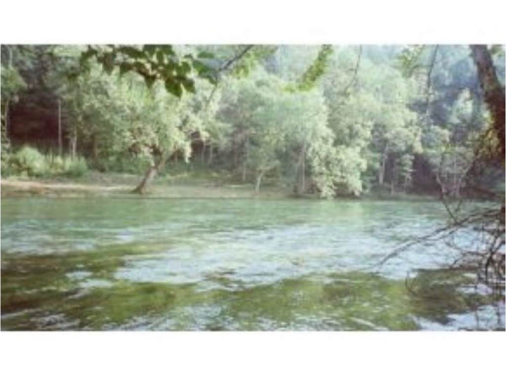140 Tailwater Road - Photo 1