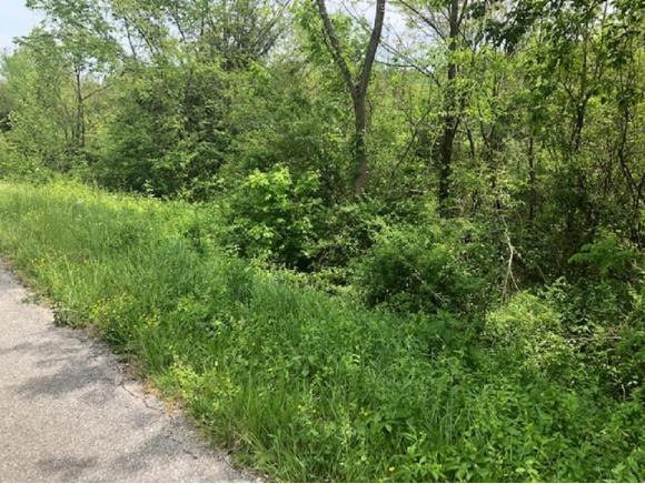 6030 Gap Creek Road - Photo 1