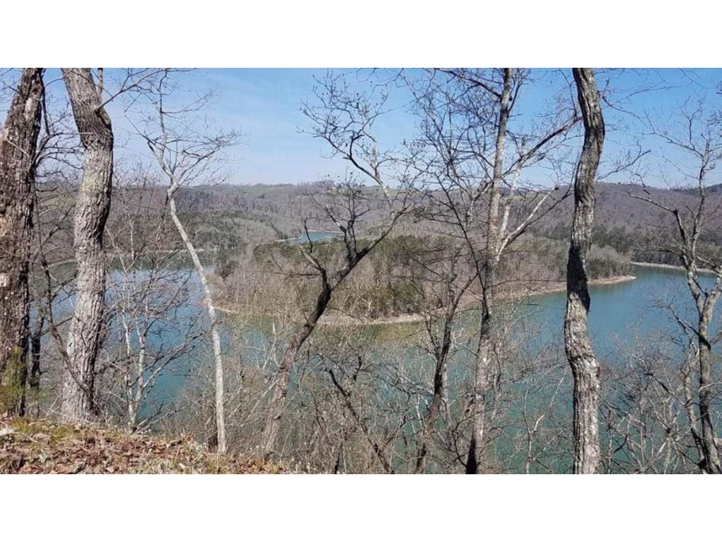 220 Acre Bullen Valley Rd Thorn Hill - Photo 1