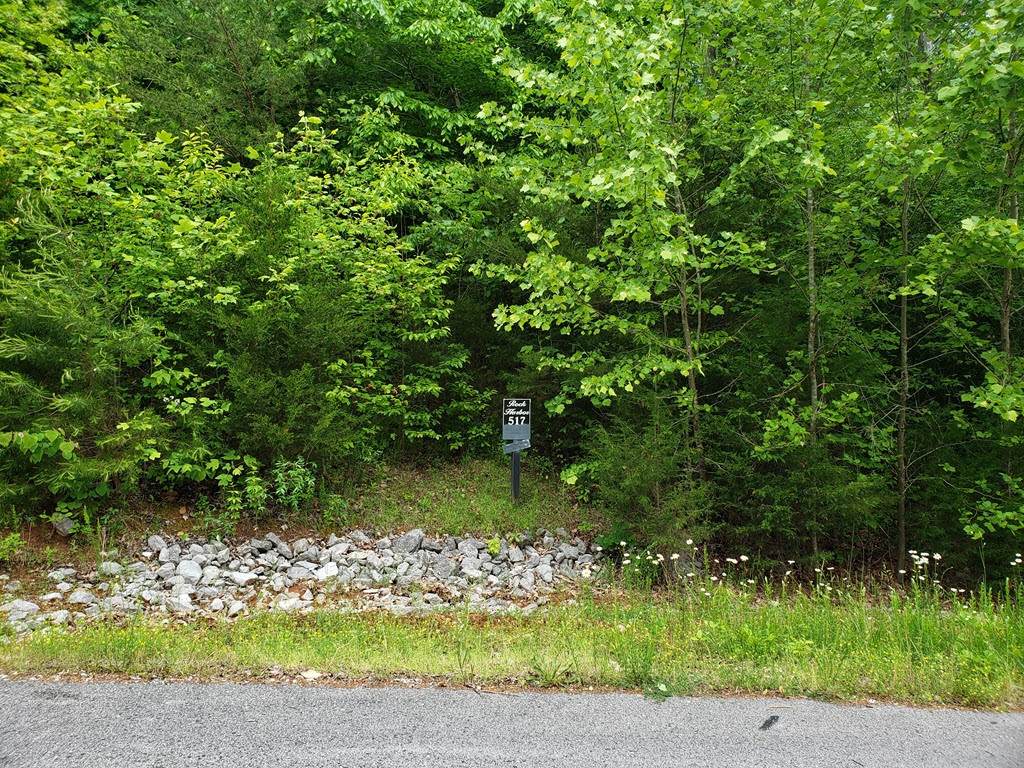 Lot 517 Mystic Star Drive - Photo 1 Lot 517 Mystic Star Drive - Photo 1