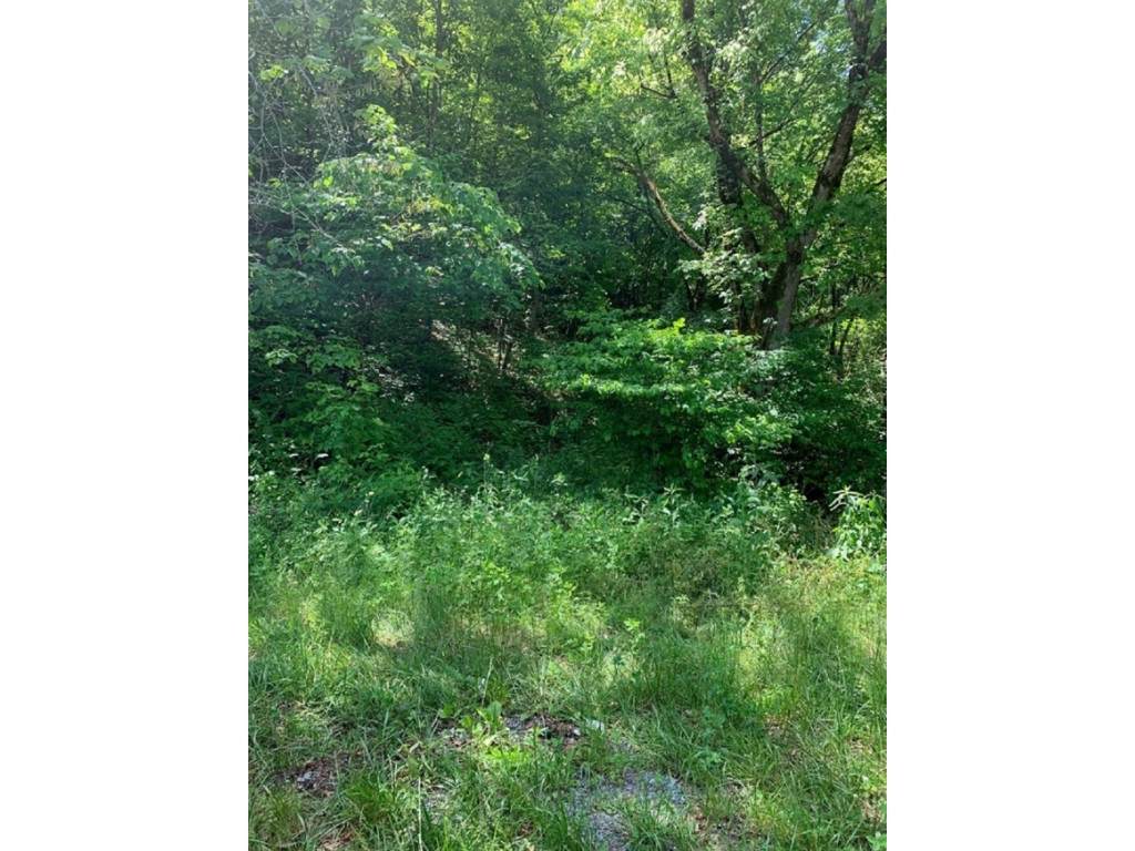 00 Rock Hill Road - Photo 1