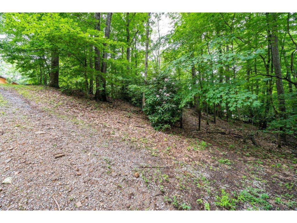Lot 35 Mountain Laurel Court - Photo 1