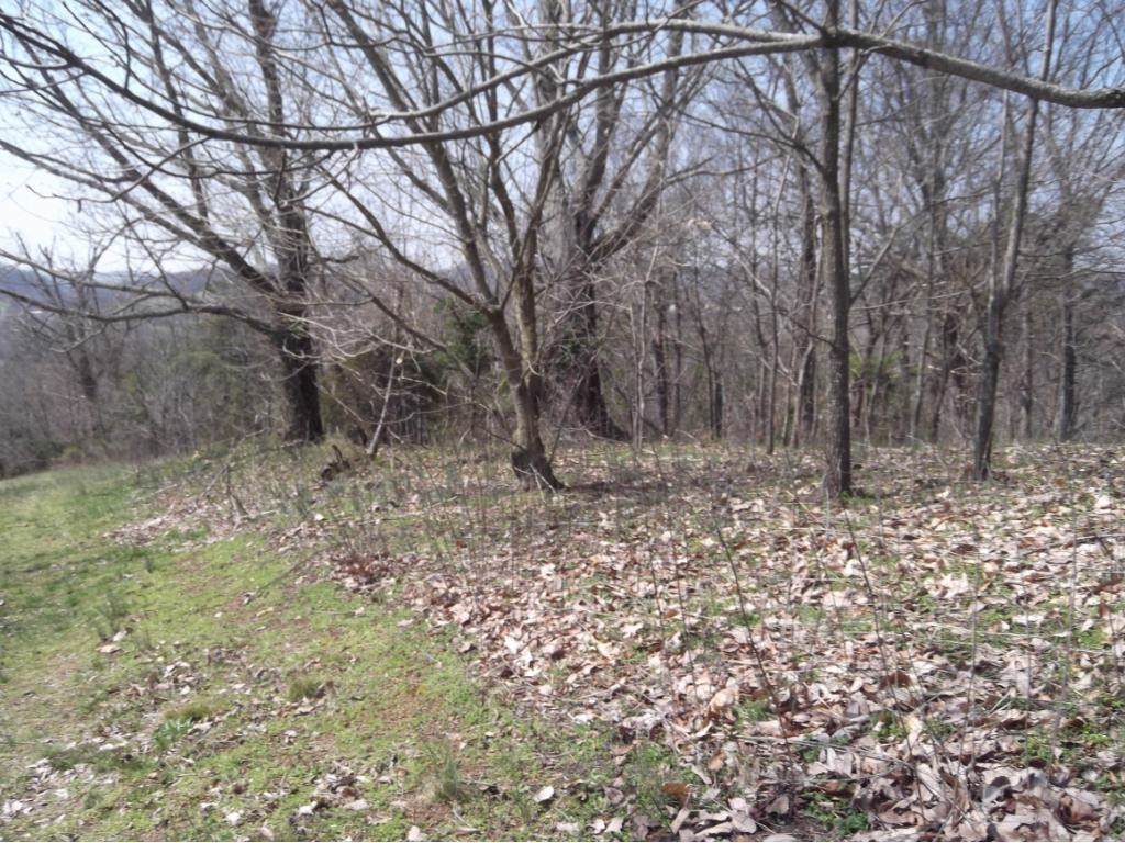 Lot 2 Charles Johnson Road - Photo 1 Lot 2 Charles Johnson Road - Photo 1