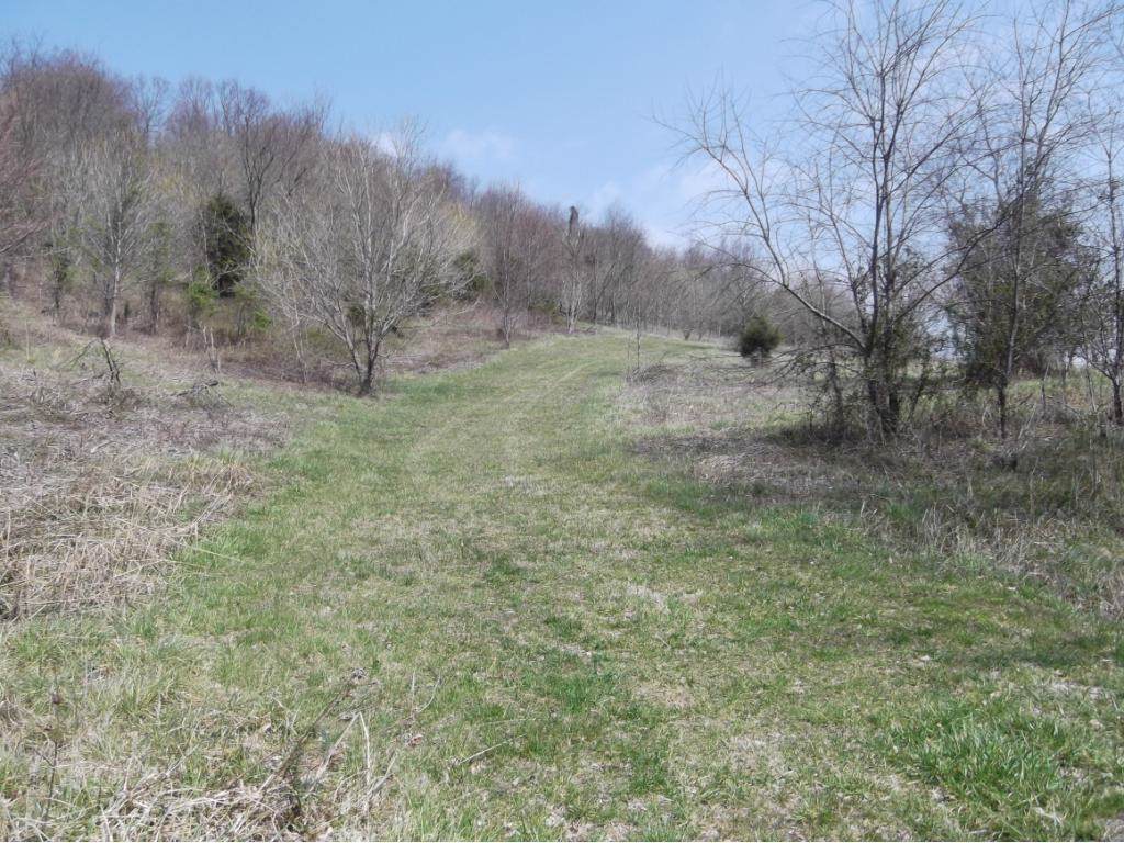Lot 4 Charles Johnson Road - Photo 1 Lot 4 Charles Johnson Road - Photo 1