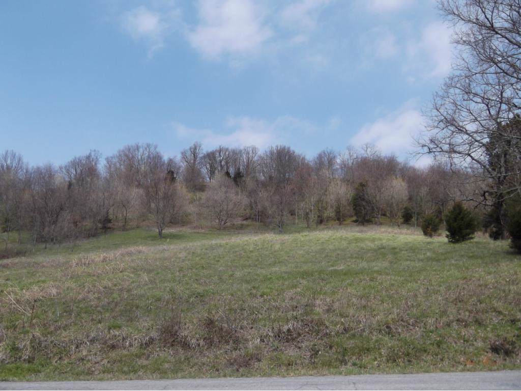 Lot 5 Charles Johnson Road - Photo 1 Lot 5 Charles Johnson Road - Photo 1
