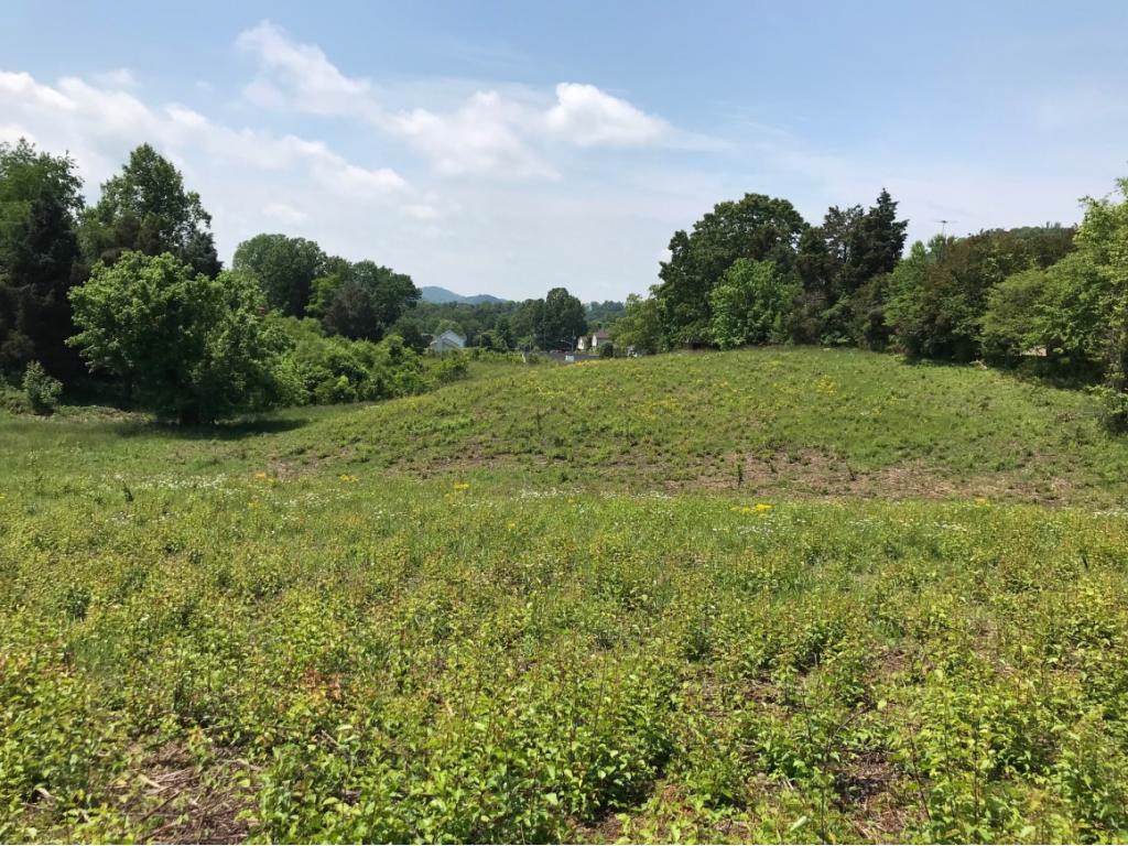 TBD Lake Valley Drive - Photo 1
