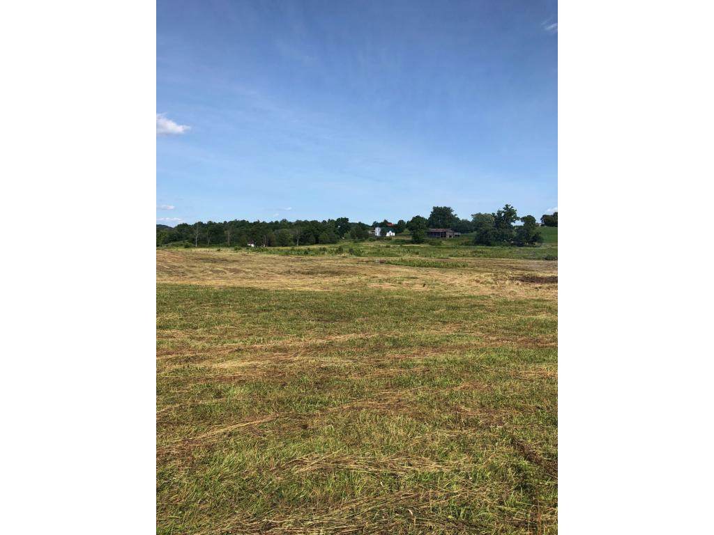 00 Hickory Cove - Photo 1