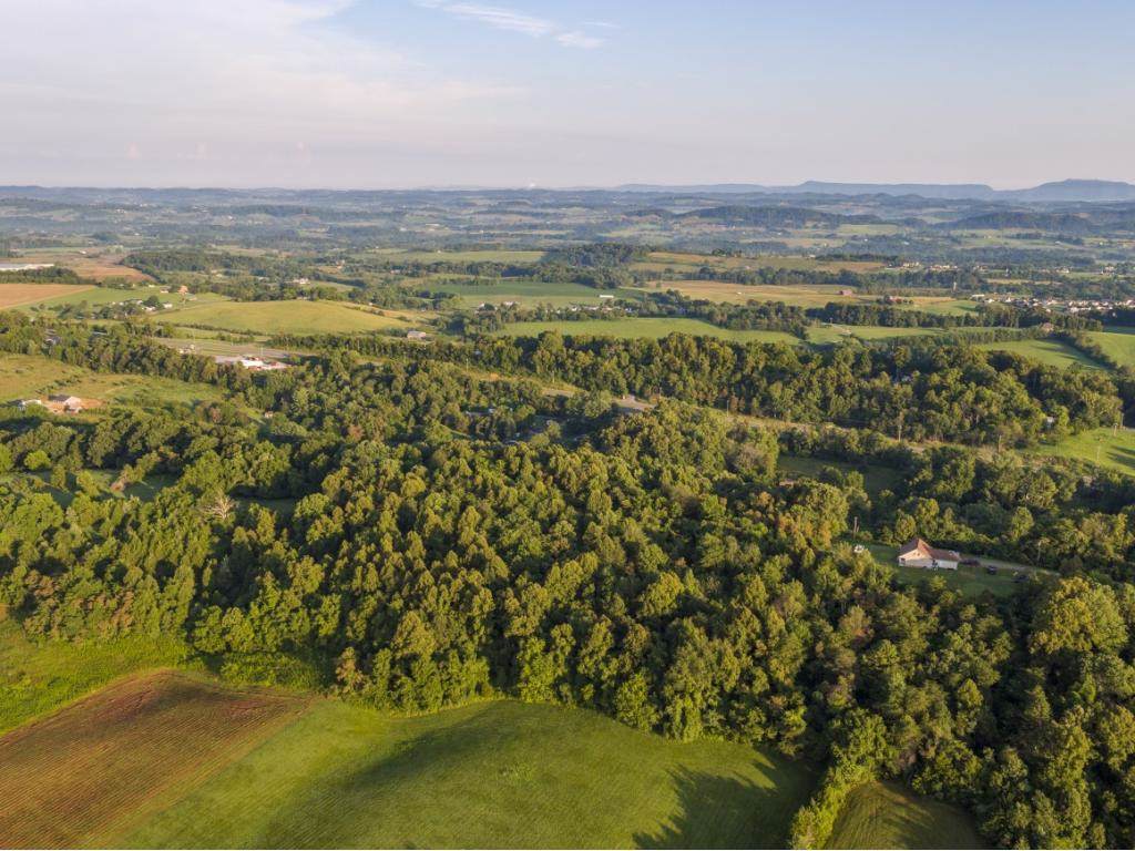 000 Mccarty Hollow Road - Photo 1