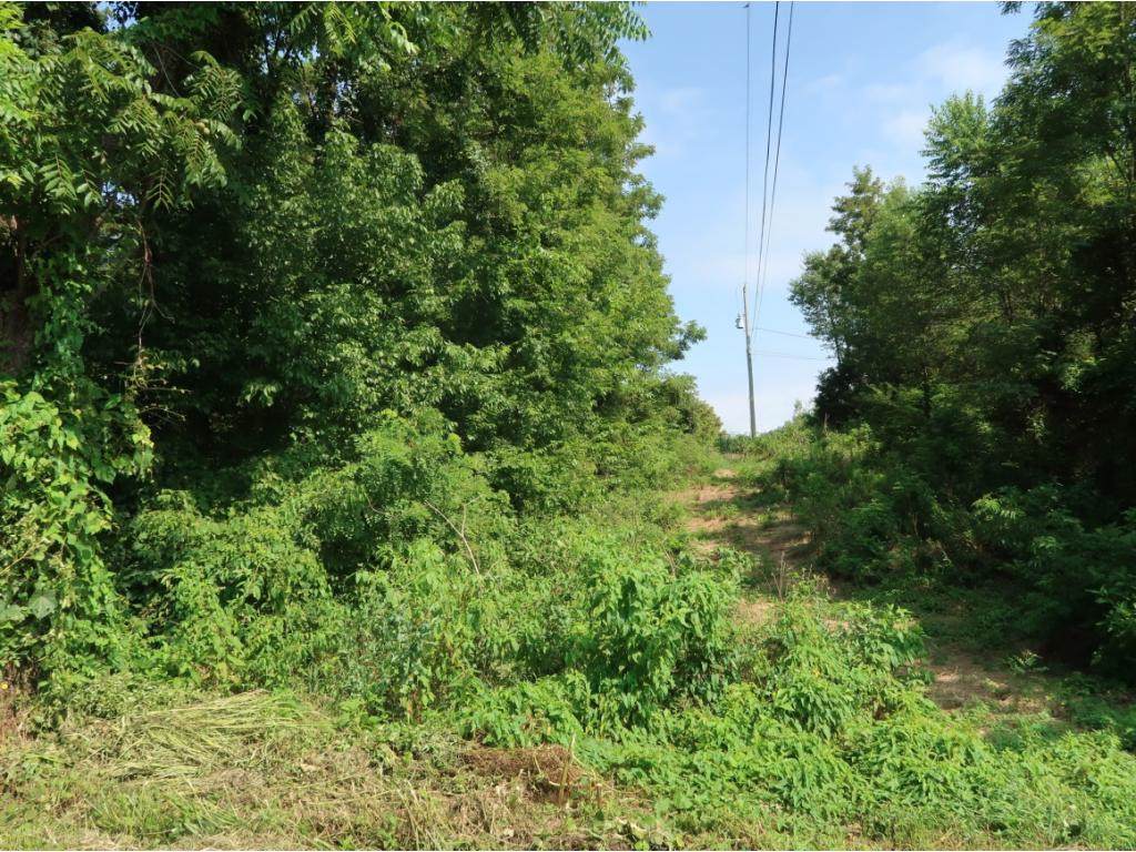 000 Mcmillan Road - Photo 1