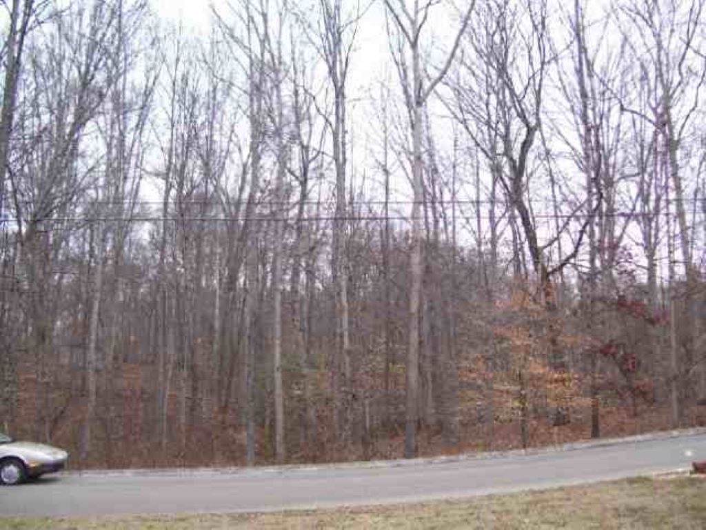 Lot 16 Devon Way - Photo 1