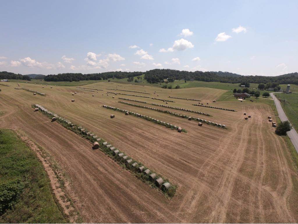 TBD Graysburg Hills Road - Photo 1